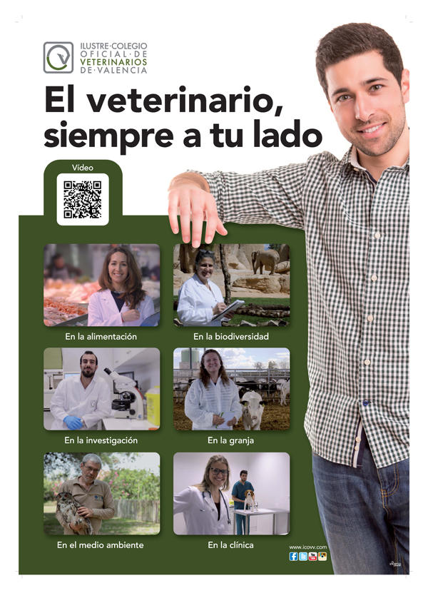 CAMPAÑA COLEGIO VALENCIA