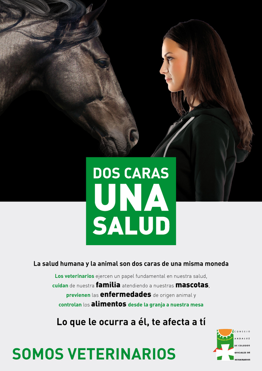 CONSEJO ANDALUZ DOS CARAS UNA SALUD