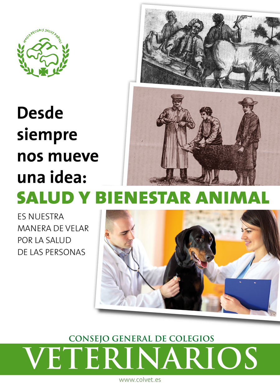 CONSEJO GENERAL COLEGIOS VETERINARIOS