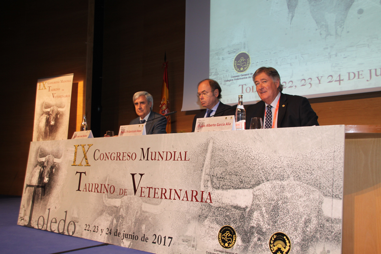 CONGRESO MUNDIAL TAURINO DE VETERINARIA