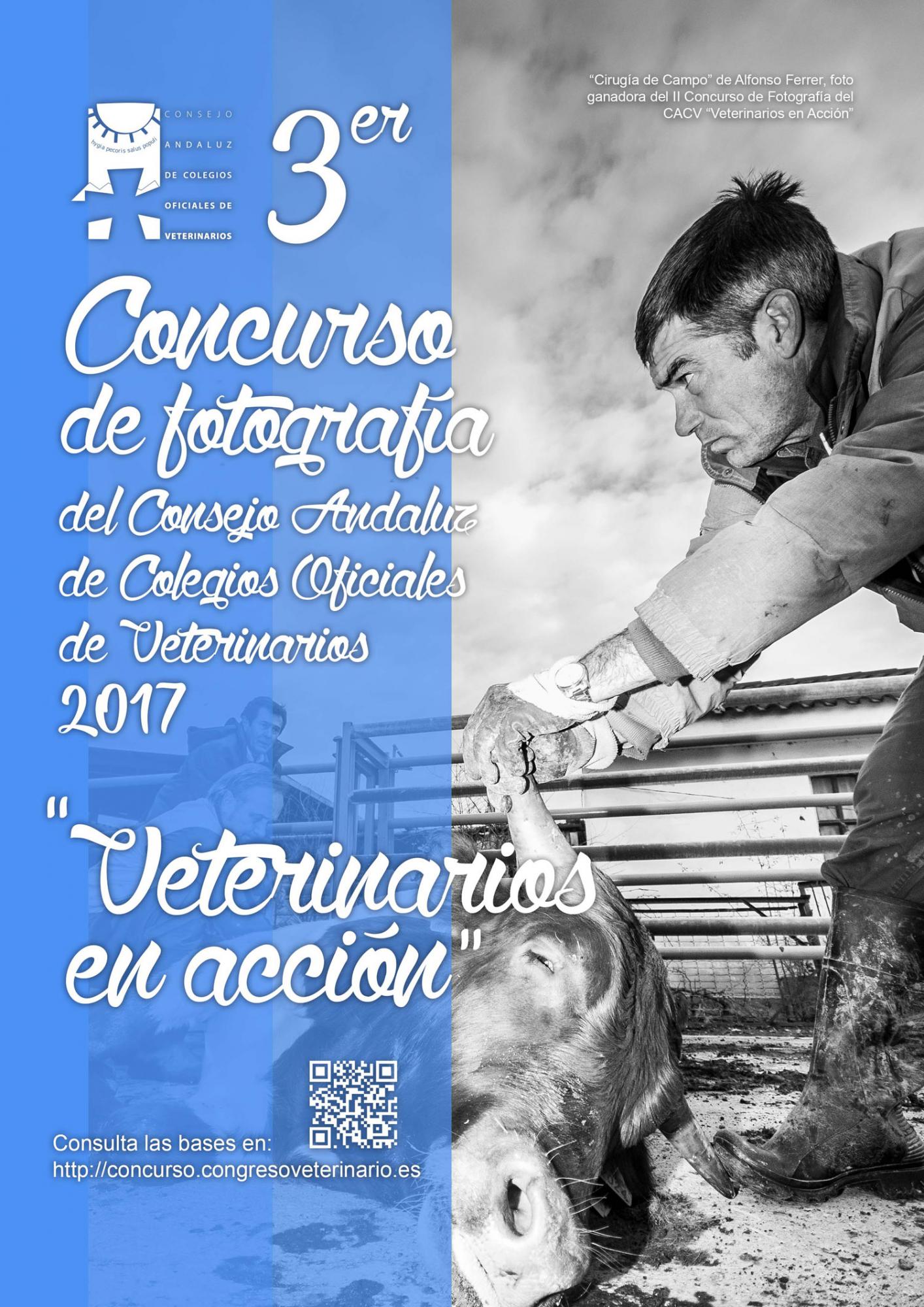  III concurso de fotografía "Veterinarios en Acción" 