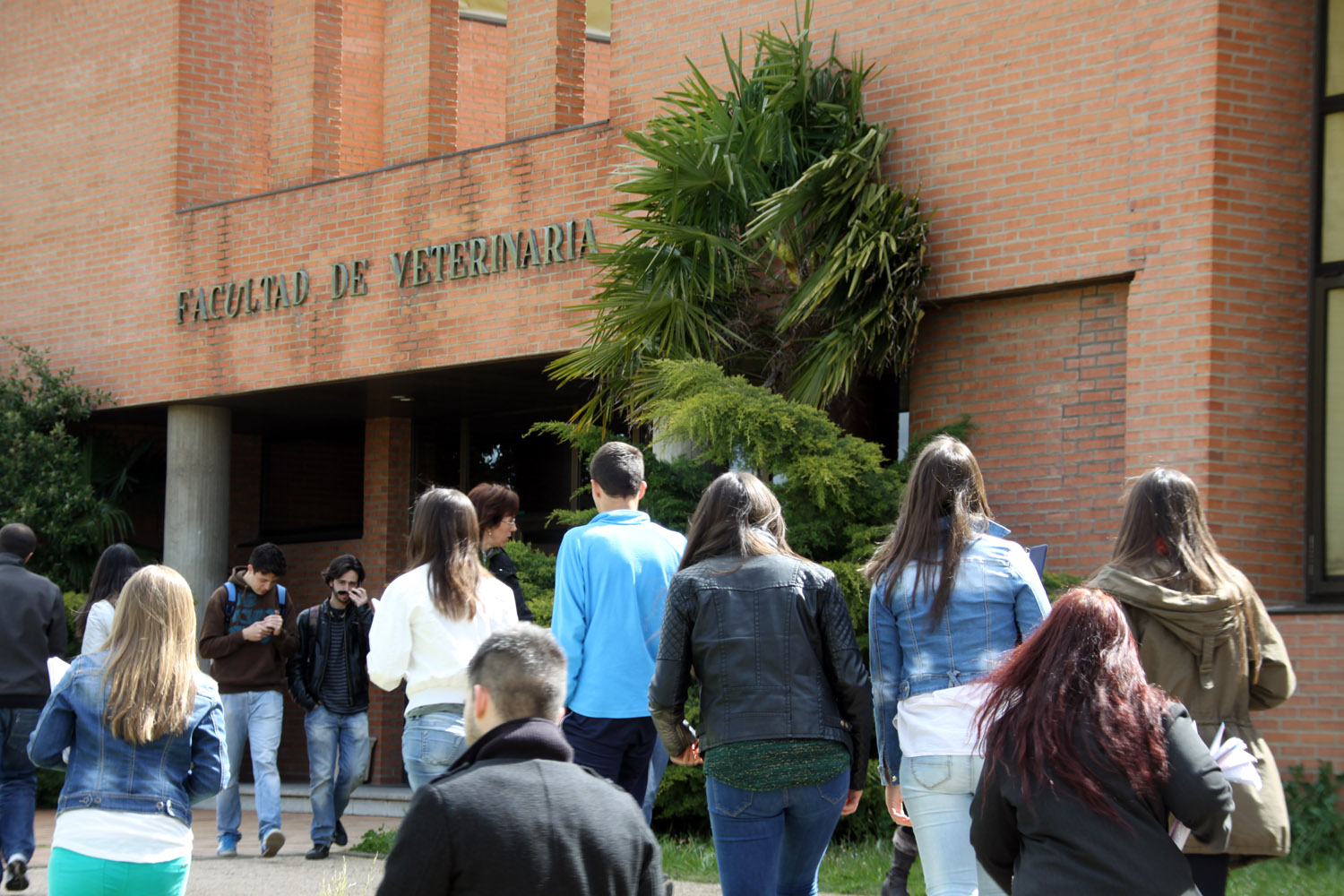 UNIVERSIDAD ESPAÑOLA