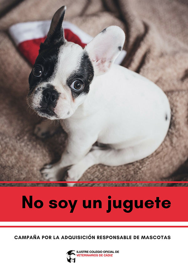 no soy un juguete