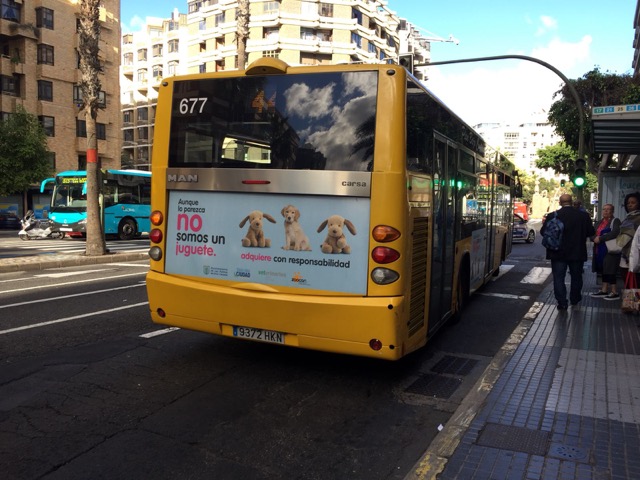 Guagua mascotas