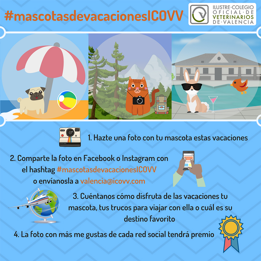 #mascotasdevacacionesICOVV