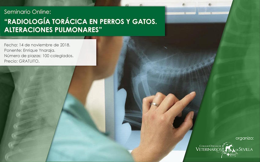 RADIOLOGÍA TORÁCICA