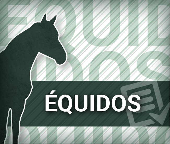 équidos