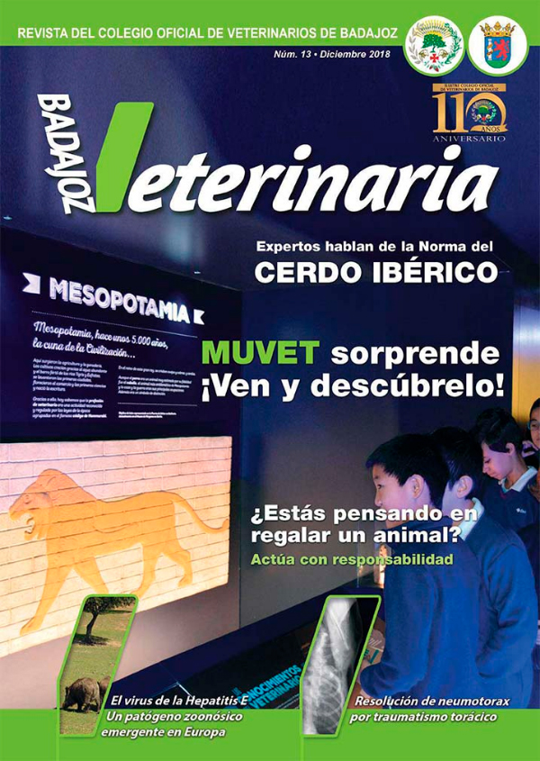 BADAJOZ VETERINARIA