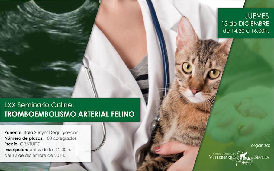 "Tromboembolismo arterial felino, perdamos el miedo"