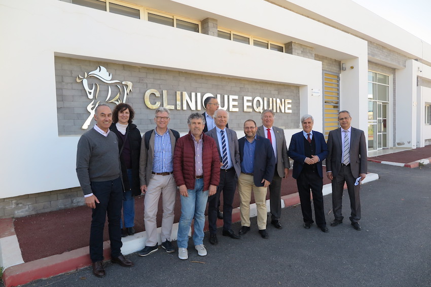 ENCUENTRO VETERINARIO HISPANO-MAROQUÍ