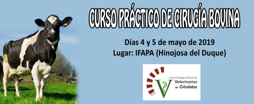 CURSO