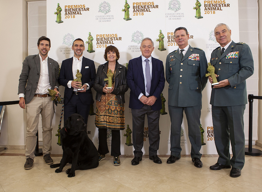 PREMIOS BIENESTAR ANIMAL