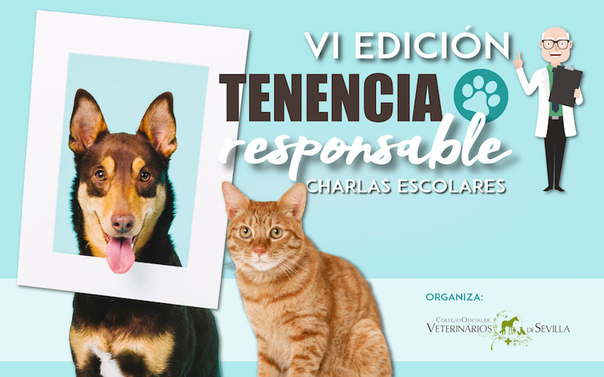 TENENCIA RESPONSABLE