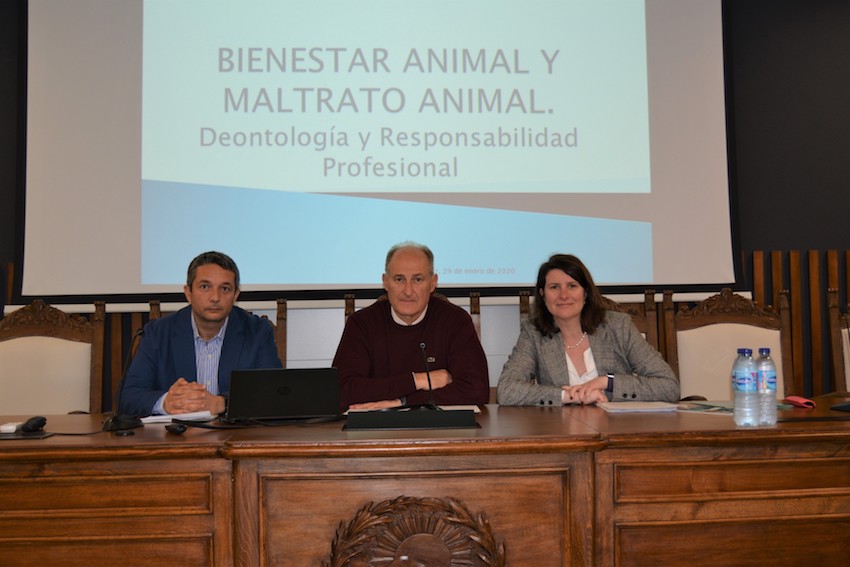 VETERINARIOS BADAJOZ