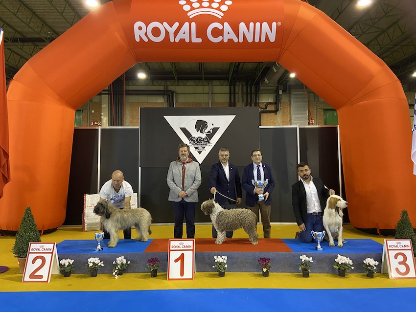 EXPOCANINA