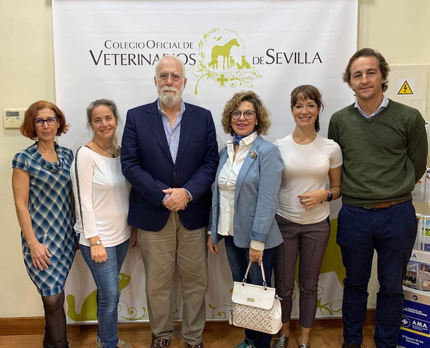 VETERINARIOS SEVILLA