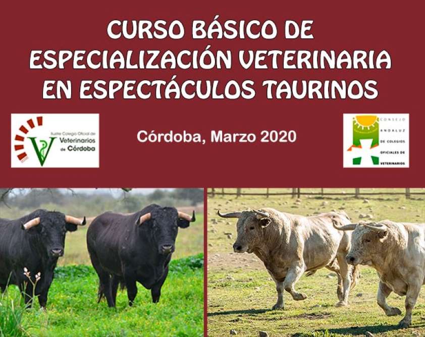 cartel anunciador del curso