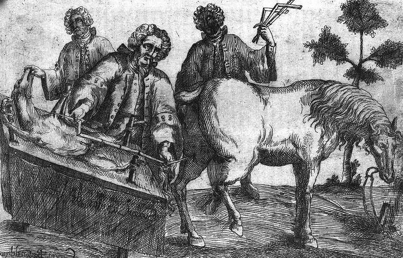 El cuidado de los caballos fue clave en el nacimiento de la ciencia veterinaria.