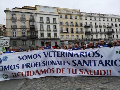 Manifestación veterinaria en Madrid.