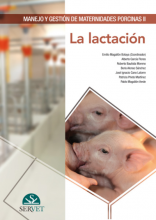 Manejo y gestión de maternidades porcinas II: la lactación
