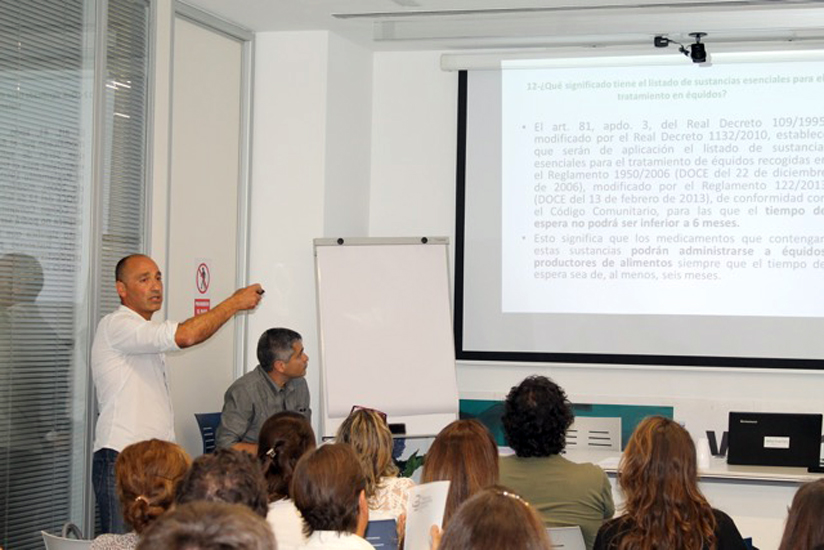 COLEGIO DE LAS PALMAS