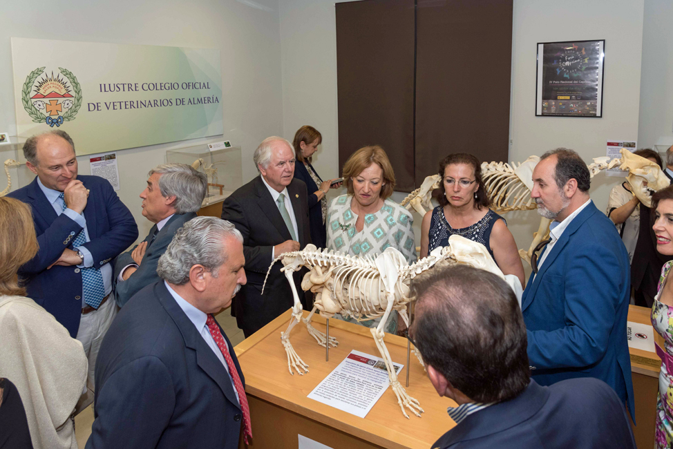 COLEGIO ALMERÍA MUSEO VETERINARIO