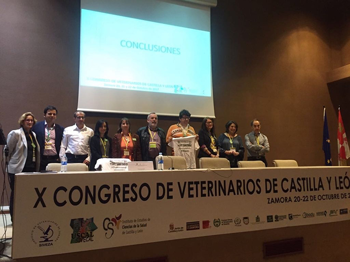 Conclusiones Congreso