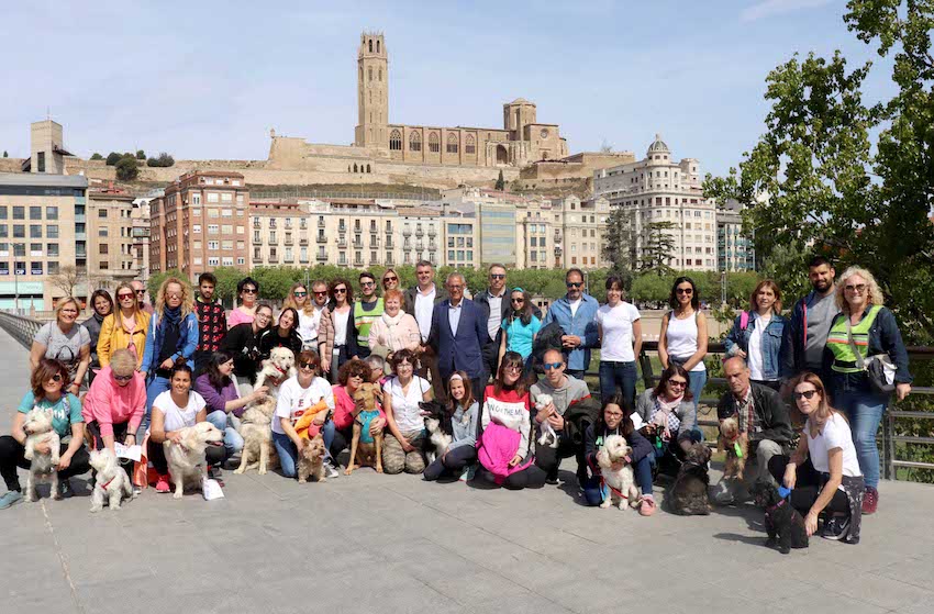 PASEO DE MASCOTAS