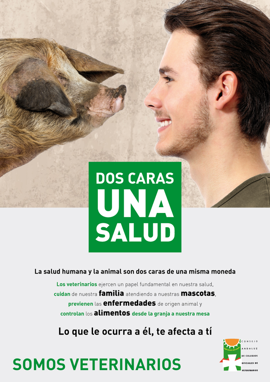 CONSEJO ANDALUZ