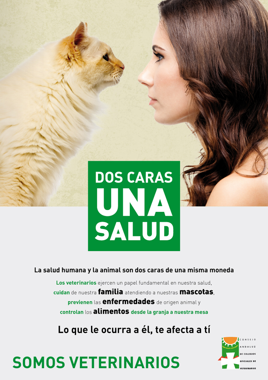 CONSEJO ANDALUZ