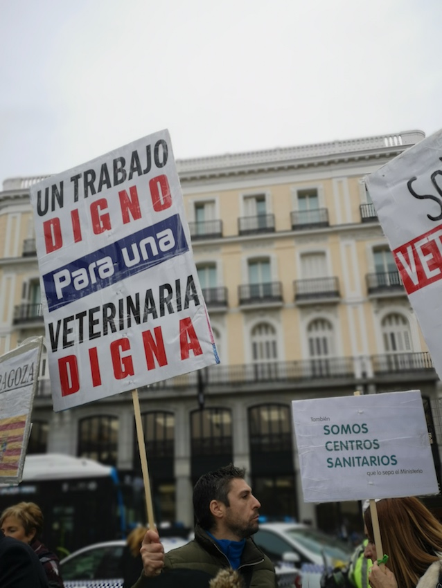 MANIFESTACIÓN VETERINARIA