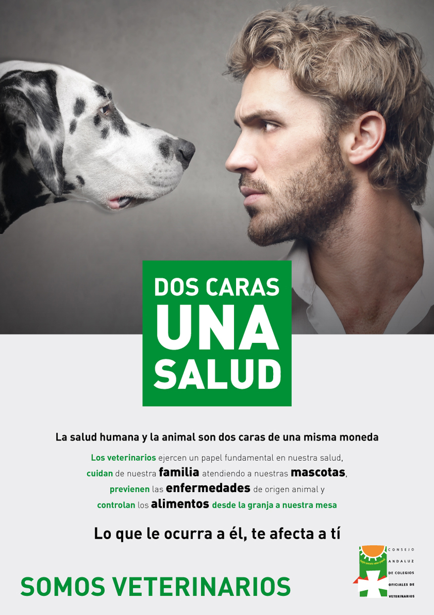 CONSEJO ANDALUZ